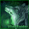 WindRaider