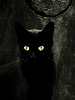 Dark Star