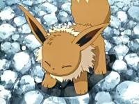 eevee cool