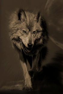 �������