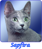 sapfira;