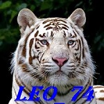 leon74