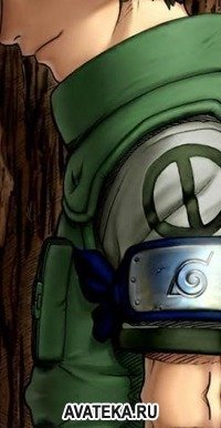 ���� ��������