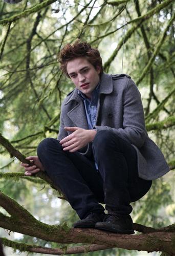 ~Edward Cullen~