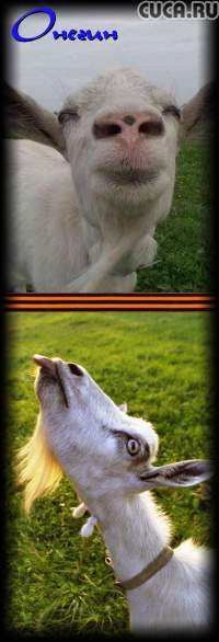 Онегин Онегин