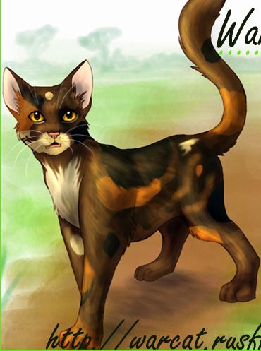 ������������