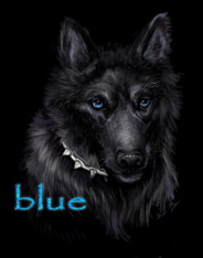 blue
