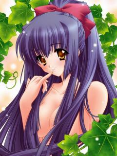 ������ �����