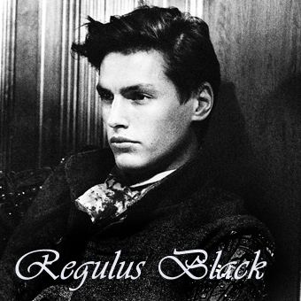 Regulus Black