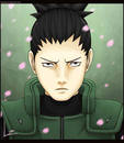 Nara Shikamaru