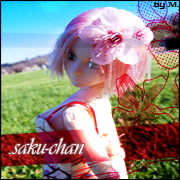 .saku-chan