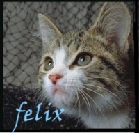 Felix