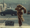 MrKick
