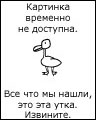 CrazyBird