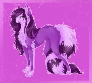 Nekira