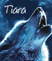 Tiara