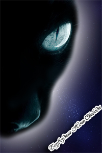 ����������� ���� �������