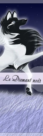 Le Diamant noir