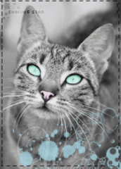 �������� �����