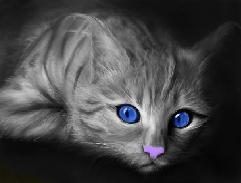 ������ ������