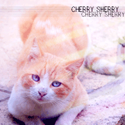 Sherry