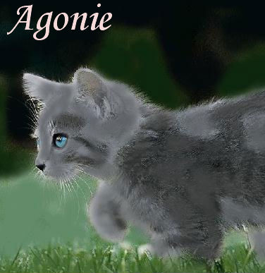 Agonie aka Illusion