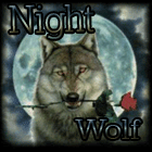 Night Wolf