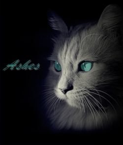 ��������� ������