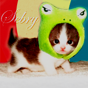 ����������