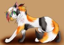 ������������