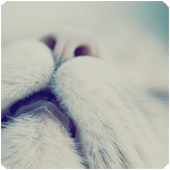 .���������