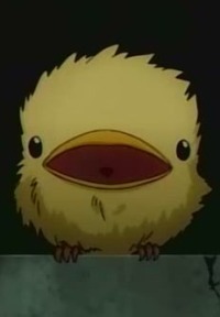 Hibbird