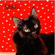 Mika