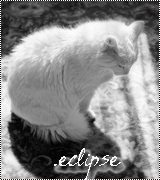 .eclipse