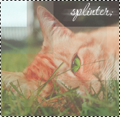 splinter;