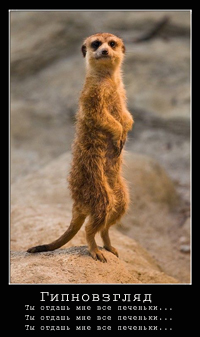 ������ - ��������