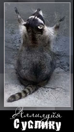 ����-��������