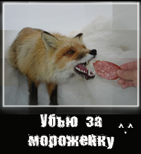 ���������� ����