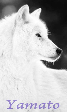 Yamato