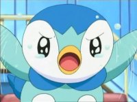 Piplup