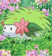 Shaymin