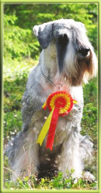 ���� ����� ���������