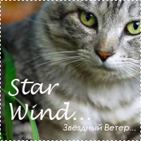 .Star Wind