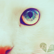 �������� �������