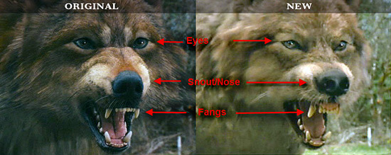 Jacob Black