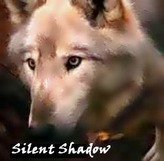 Silent Shadow