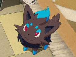 Zorua