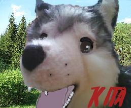 Kita