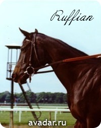 Ruffian