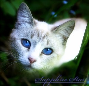 `sapphire